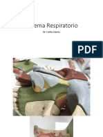 Sistema Respiratrio