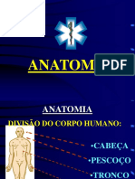 anatomia.ppt