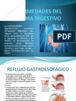 Enfermedades Del Sistema Digestivo