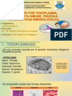 Infeccion Por Toxoplasma