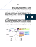 Sepsis PDF