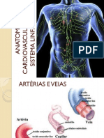Anatomia Cardiovascular e Do Sistema Linfático
