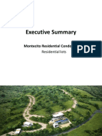 Executive Summary Montecito