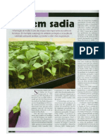 2010 - Artigo Indexado-Origem Sadia - Berinjela - Cultivar Revista