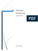 Derecho Ambiental