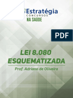 LEI-8080-ESQUEMATIZADA SUS.pdf