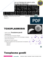 Toxoplasmosis