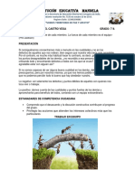 2 autocuidado, TPA 7°A, periodo 3.docx