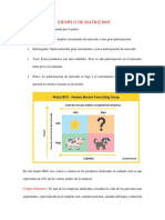 Ejemplo de Matriz BGC