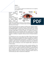 Correlaciones Clinicas Del Ojo