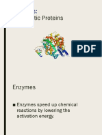 Enzyme Basics PowerPoint