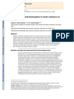 Explicação Estado Redox - Linking Mitochondrial Bioenergetics to Insulin Resistance via Redox Biology