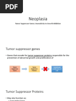 Neoplasia: Tumor Suppressor Genes: Insensitivity To Growth Inhibition