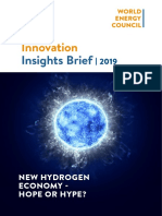WEInnovation Insights Brief New Hydrogen Economy Hype or Hope