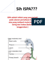Presentation ISPA PKRS