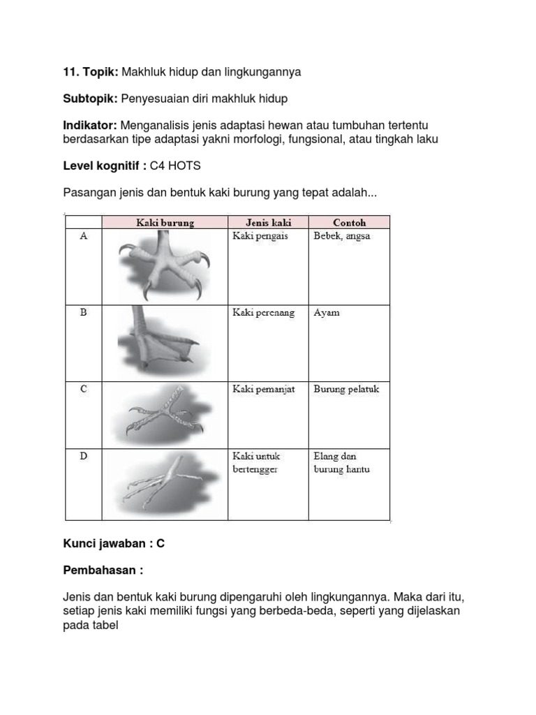 Contoh Soal C4 Hots Materi Adaptasi Mh