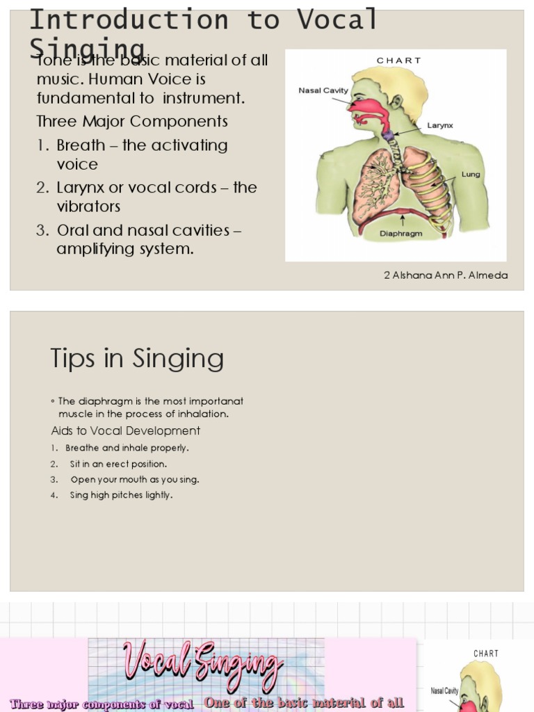 Proper Techniques for Singing | PDF