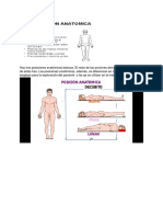 Posición Anatomica