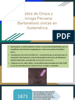 Copia de Fiebre de Oroya y Verruga Peruana - Bartonelosis Únicas en Sudamérica