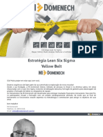 Yellow Belt