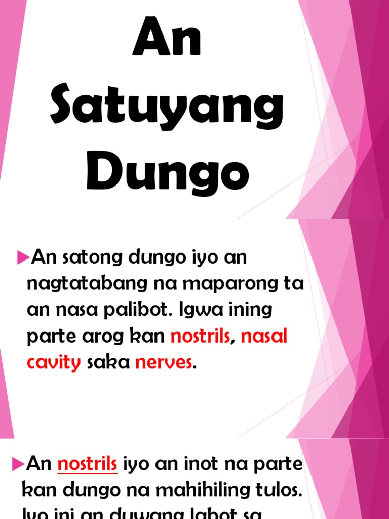 AN SATUYANG TALINGA visual data 2