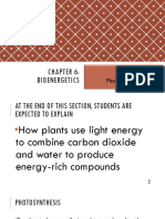 020 Photosynthesis