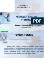 Pp Tumor Testis