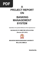 Aditi Banking of Management Report