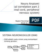 Neuurooaanaatoomii