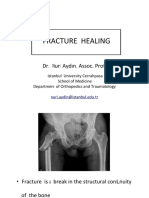 Fracture Healing