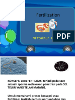 Fertilisasii