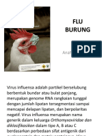 T7 VII. FLU BURUNG.pptx