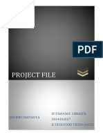 project file.docx