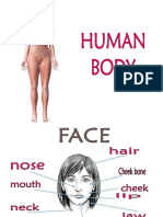 Parts of the Human Body