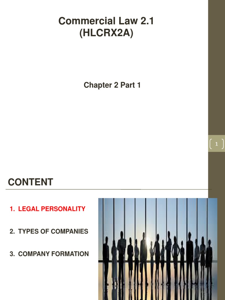 Chapter 2 Part 1 PDF Piercing The Corporate Veil Private Law
