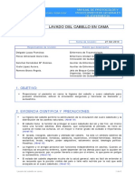 b3 Lavado Cabello Cama PDF