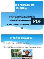 El Sector Primario en Colombia