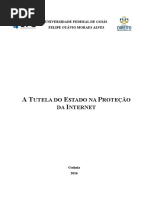 A Tutela do Estado na Proteção da Internet