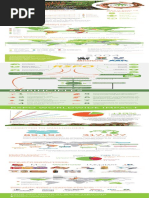 RSPO Who Is RSPO Tall Infographic