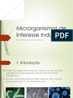 Slide B - Microrganismos de Interesse Industrial - Ago2015 PDF