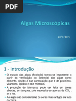 Slide P - Algas Microscópicas.pdf