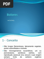 Slide O - Bolores.pdf