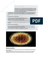 Clase Teoríca Ortomixovirus