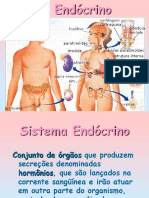 Sistema Endócrino (1)