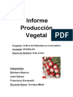Informe Producción Vegetal