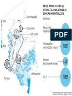 Conflicto Armado y Deforestación