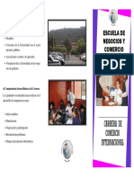 Tripticocomerciointernacional PDF