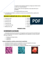 Microbiota Cuestionario PDF