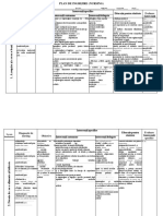 Model de Completare Plan de Ingrijire - Doc Versione 1