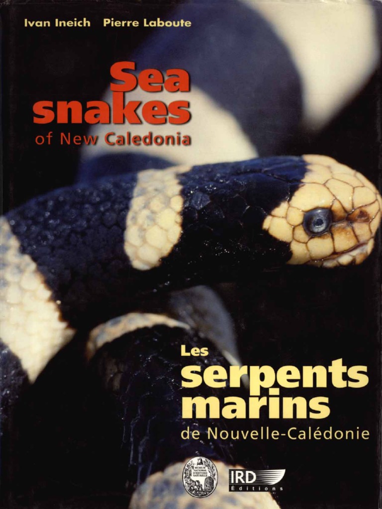 Possède-Moi: Tome 1 (La Capture du Serpent) (French Edition) See more  French EditionFrench Edition